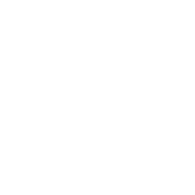 SYNAPSE